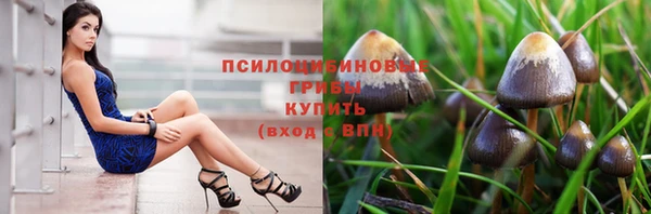 2c-b Бородино